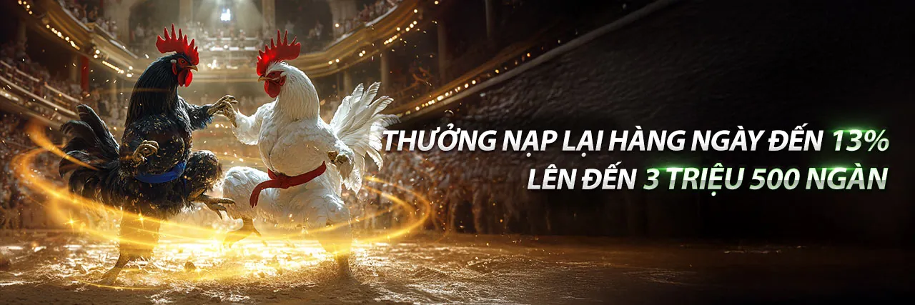 Sân đá gà trực tuyến sôi động tại kim88 nhà cái